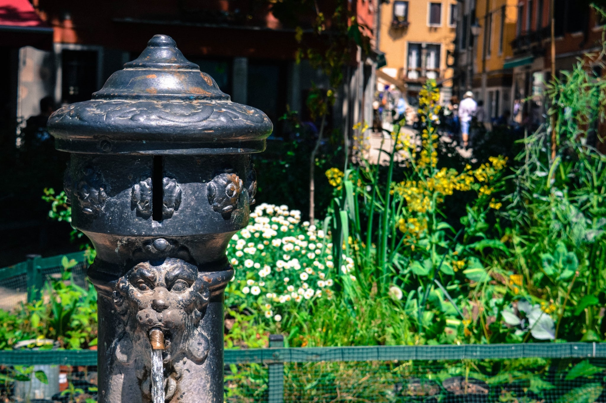 l'acqua è gratuita e potabile dalle fontane - Italy travel tips