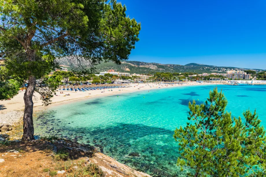 palmanova beach, mallorca
