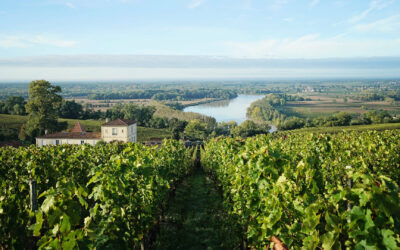 7 Curious Fun Facts about Bordeaux (France) that will Surprise You