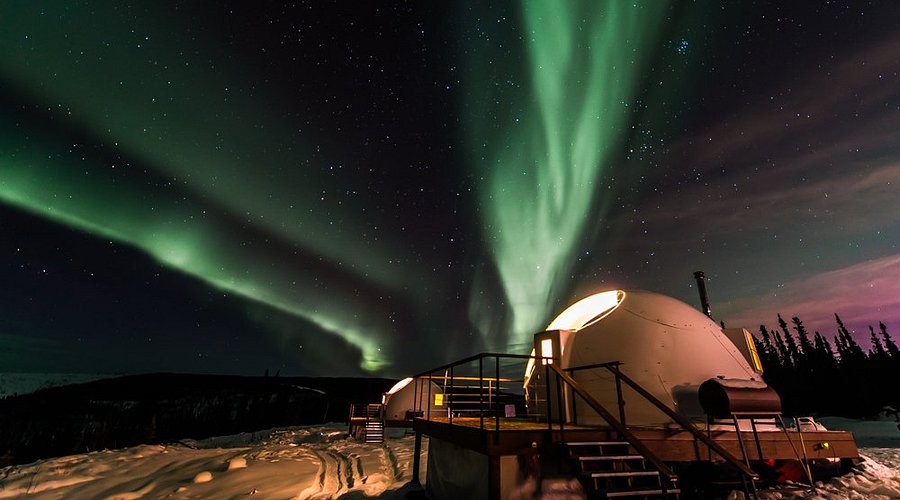 world museum liverpool