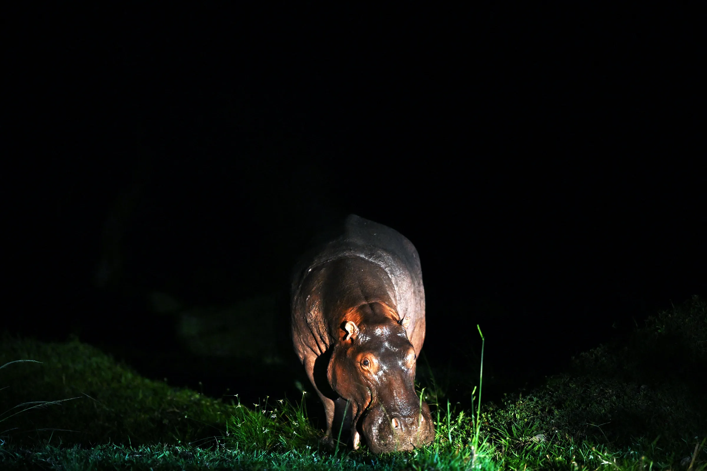 Roma e Parigi - città gemelle
