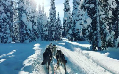 The Best Honeymoon Destinations for Every Season!