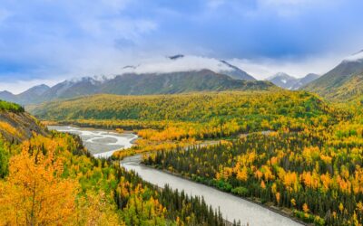 10 Authentic Alaska Experiences That Go Beyond the Postcard