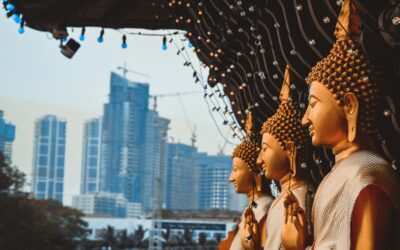 4 Must-Do Cultural Experiences in Colombo, the Heart of Sri Lanka