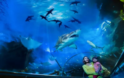 Aquaria KLCC: Complete Guide to KL’s Underwater World