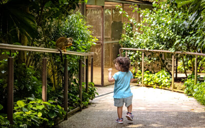 Singapore with Kids: 5 Family-Friendly Adventures You Should Try